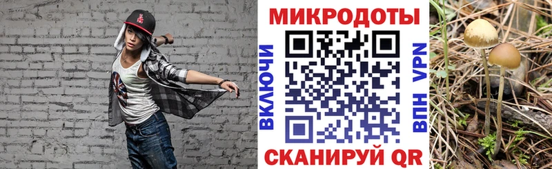 Псилоцибиновые грибы GOLDEN TEACHER  Верхняя Пышма 