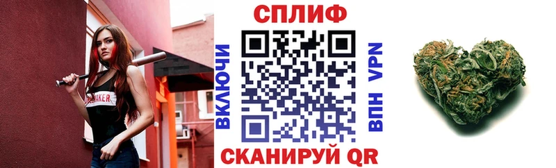 купить закладку  Верхняя Пышма  Марихуана сатива 